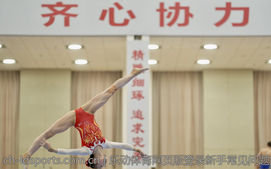 乐动体育网页版登录新手常见问题解答