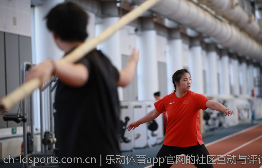 乐动体育app官网的社区互动与评论功能