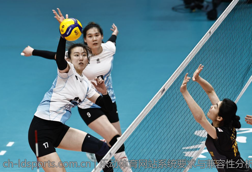 乐动体育网站系统要求与兼容性分析