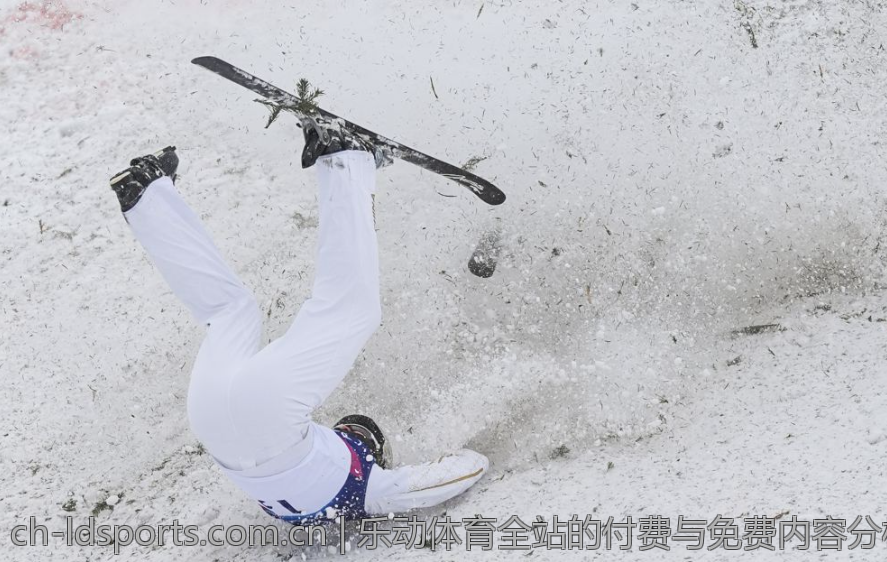 乐动体育全站的付费与免费内容分析